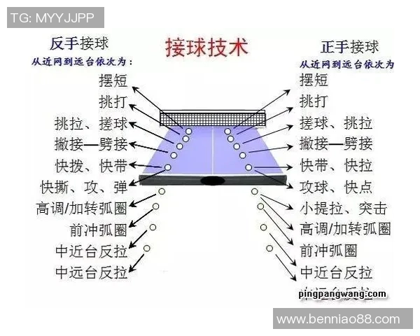 西安乒乓球队技术分析与发展策略探讨之路